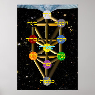 The Tree of Life   Hebrew and English   All Sizes Poster