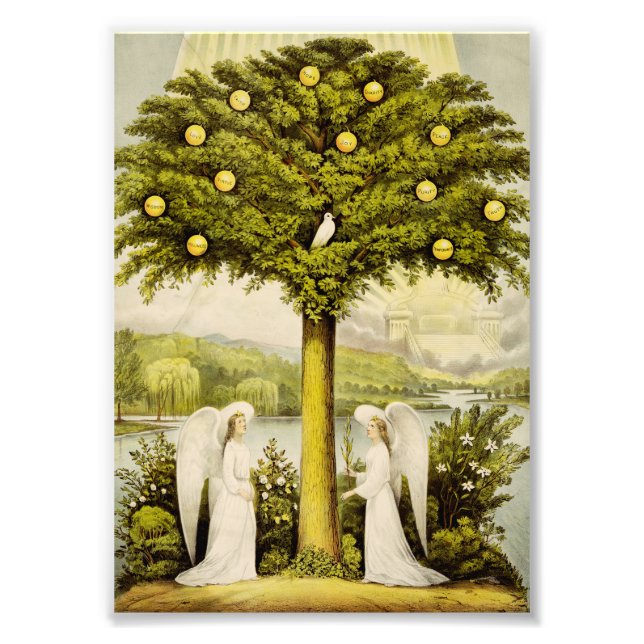 The tree of life photo print (Front)