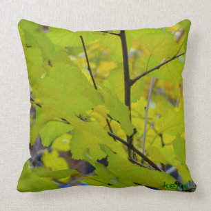 The Tree of Life Pills Cushion