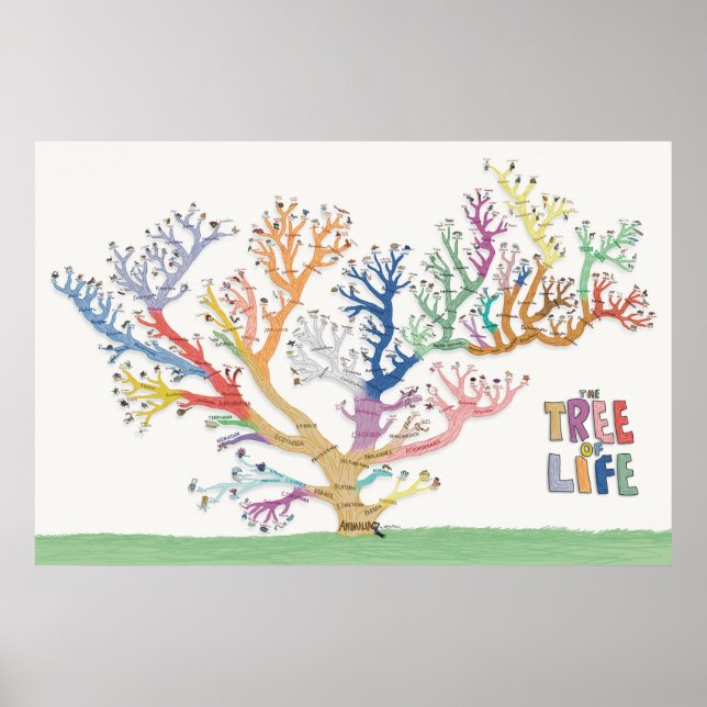 The Tree of Life Poster (Front)