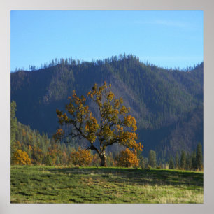 The trees call to me..... poster