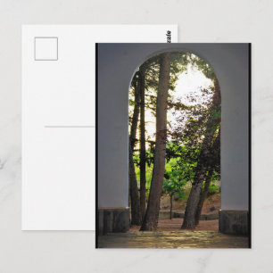 The Trees through the Arch Postcard