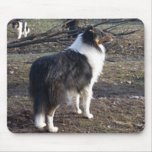 The Tri-colour Collie Mouse Pad