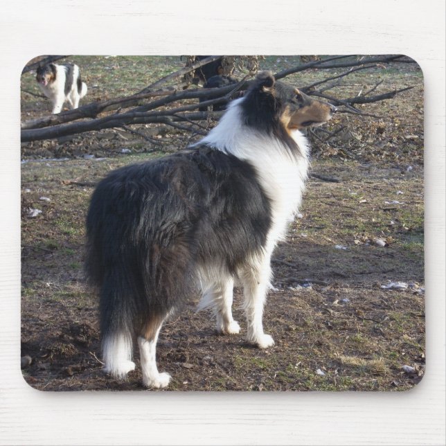 The Tri-colour Collie Mouse Pad (Front)