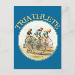 The Triathlon of Chickens Postcard