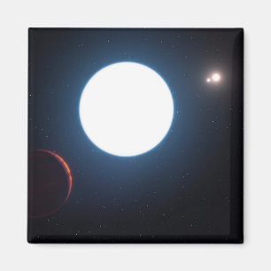 The Triple Star System Hd 131399 Magnet