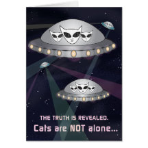 The Truth Is Revealed: Cats Are Not Alone!