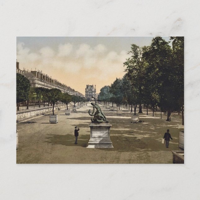 The Tuileries garden, Paris, France classic Photoc Postcard (Front)