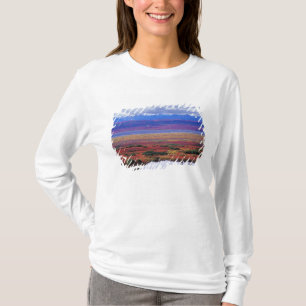 The tundra of Denali National Park in the late T-Shirt
