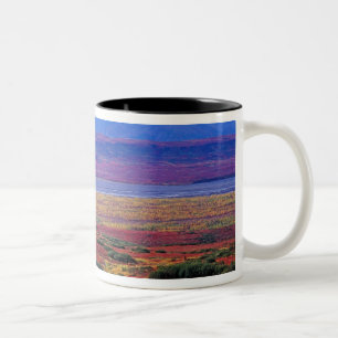 The tundra of Denali National Park in the late Two-Tone Coffee Mug