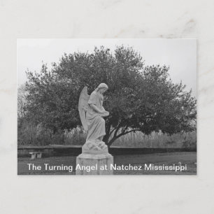 The Turning Angel at Natchez Postcard