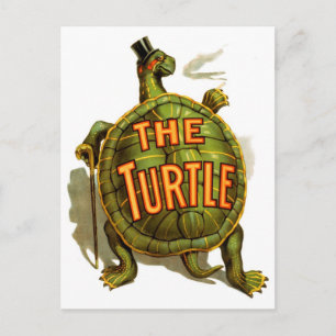 The Turtle Postcard