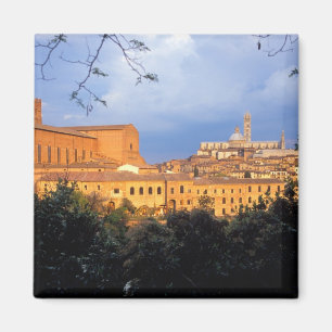 The Tuscan village of Sienna, Italy. Magnet