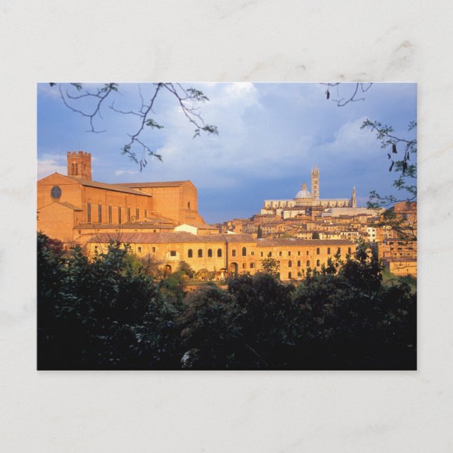 The Tuscan village of Sienna, Italy. Postcard (Front)