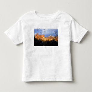 The Tuscan village of Sienna, Italy. Toddler T-Shirt