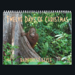 The Twelve Days of Christmas by orangutans Calendar<br><div class="desc">Imagine "The Twelve Days of Christmas" done rainforest style with orangutans! The artist donates her profits on this calendar  to the orangutan Care Centre,  home to 350 orphans,  where she volunteers.</div>