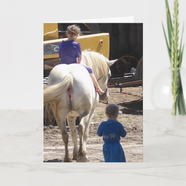 The  Two Amish Girls and Their Horse Card (Front)