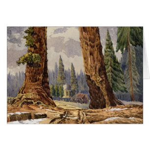 The Two Sentinels, at the Grove of Big Trees