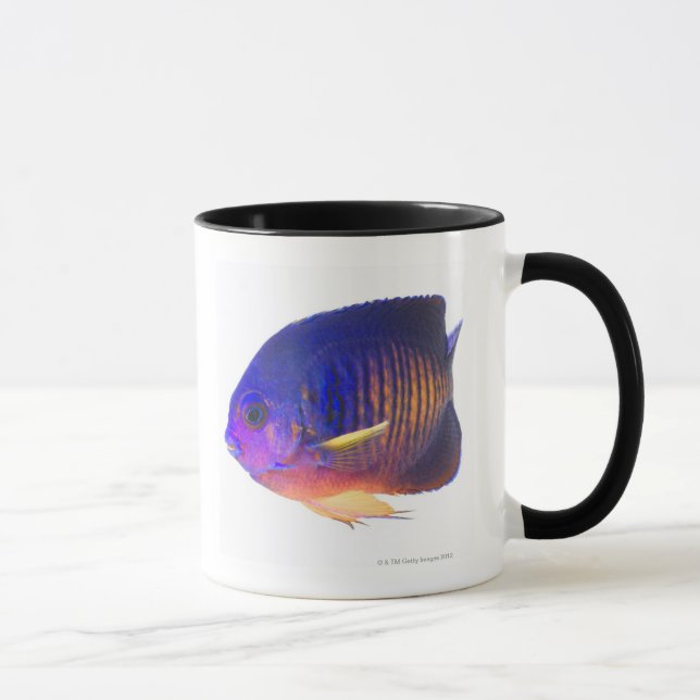 The two-spined angelfish mug (Right)