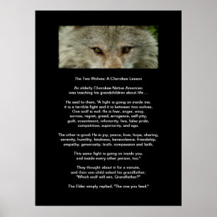 The TWO WOLVES CHEROKEE LESSON Art Poster