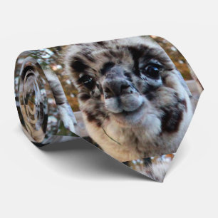 THE ULTIMATE ALPACA TIE