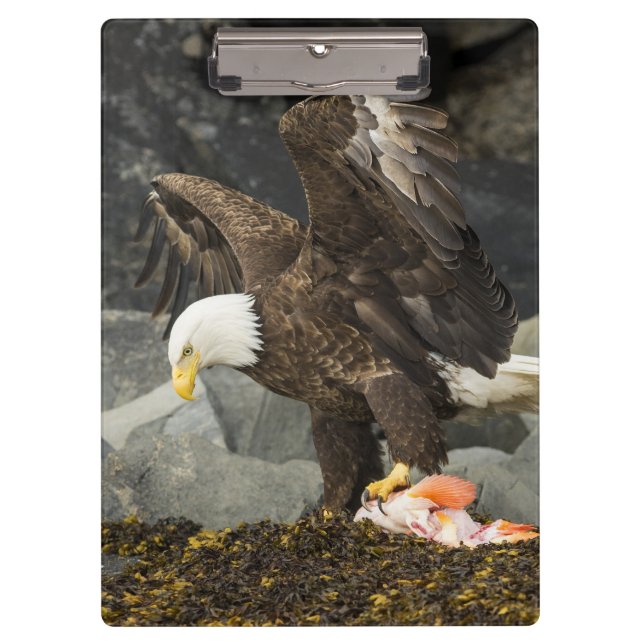 The Ultimate Bald Eagle Clipboard (Front)