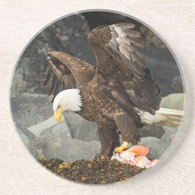 The Ultimate Bald Eagle Coaster (Front)