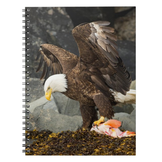 The Ultimate Bald Eagle Notebook (Front)