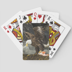 The Ultimate Bald Eagle Playing Cards