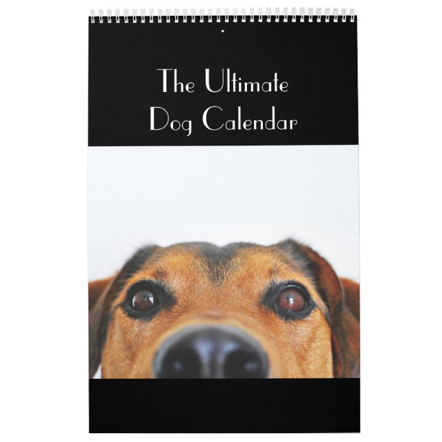 The Ultimate Dog Calendar (Cover)