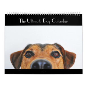The Ultimate Dog Calendar
