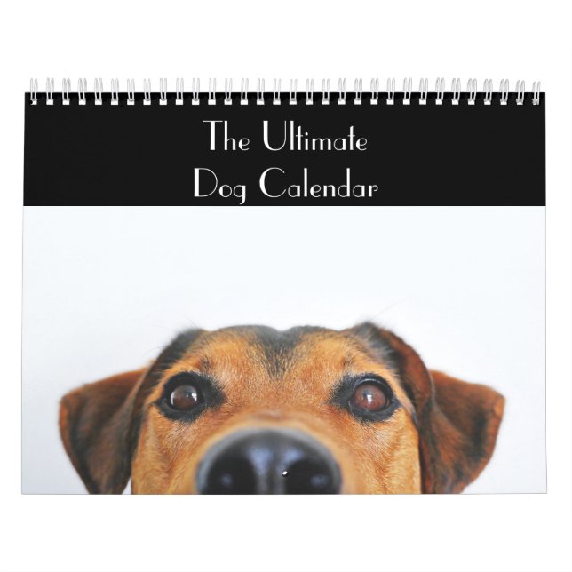 The Ultimate Dog Calendar (Cover)