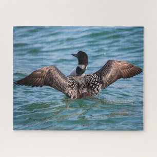 The Uncommon Loon puzzle