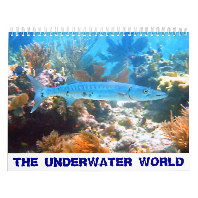 THE UNDERWATER WORLD Calendar (Cover)
