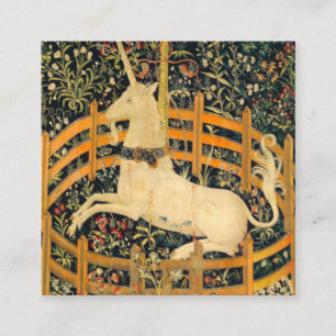 The Unicorn in Captivity Enclosure Card