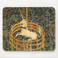 The Unicorn in Captivity