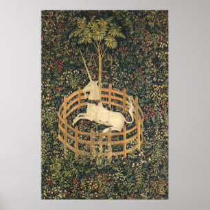 The Unicorn in Captivity Poster