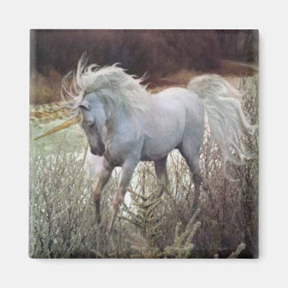 The Unicorn Magnet