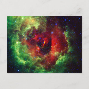 The Unicorns Rose Rosette Nebula Postcard