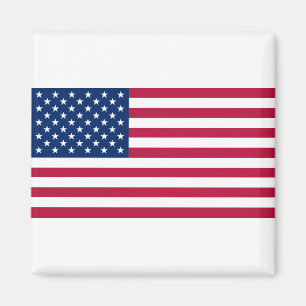 The United States Of America Flag Magnet