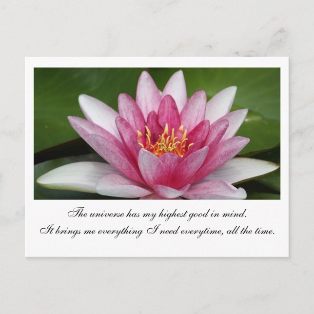 The universe postcard (Front)