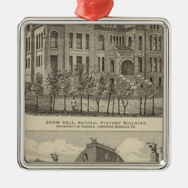 The University of Kansas Metal Tree Decoration (Front)