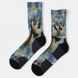 The Unlikely Hero: Witness the "Frog That Carries Socks