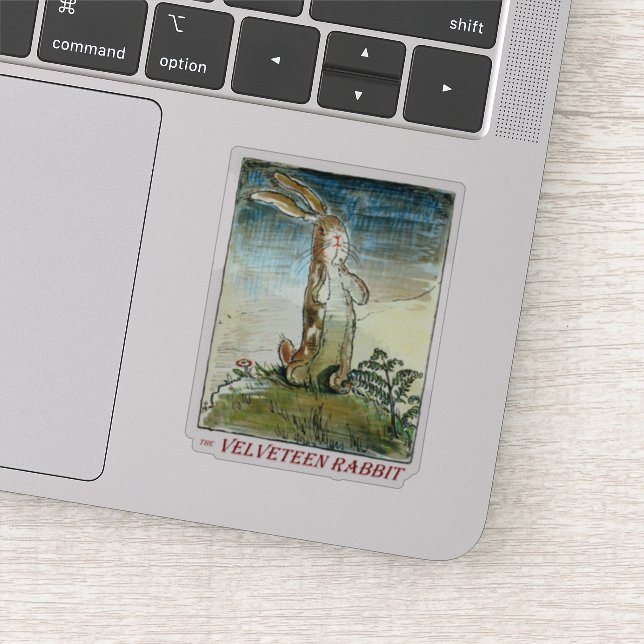 The Velveteen Rabbit by Margery Williams (Detail)