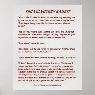 The Velveteen Rabbit - What is Real? - Poster