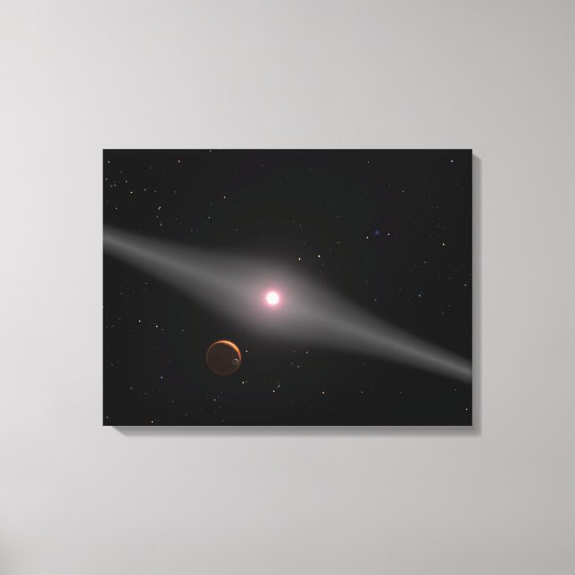 The view from the vicinity canvas print (Front)