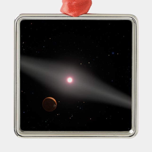 The view from the vicinity metal tree decoration (Front)