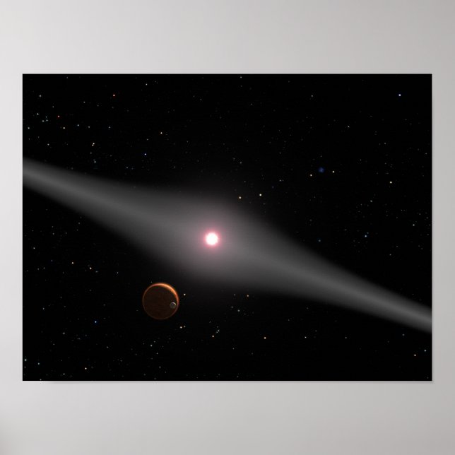 The view from the vicinity poster (Front)