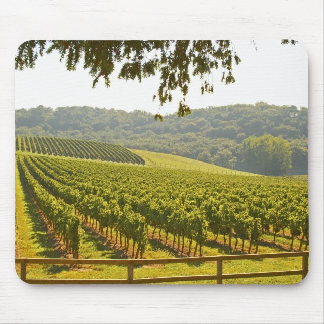 The vineyard and a valley with a forest - mouse pad (Front)