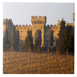 The vineyard with syrah vines and the chateau ceramic tile